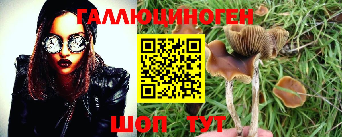 Псилоцибиновые грибы MAGIC MUSHROOMS Люберцы